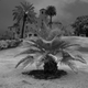 Image for article titled 27 Photos Of Barenaked Trees